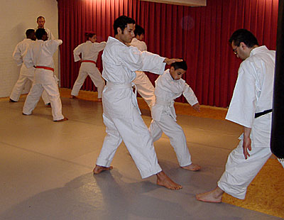 bai018